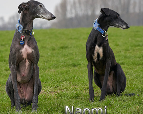 Naomi-(8)web