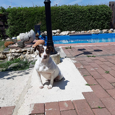 Sacarina_Update_25072019-(4)web