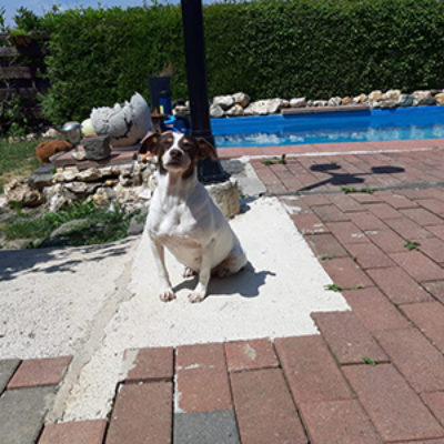 Sacarina_Update_25072019-(5)web