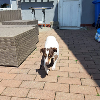Sacarina_Update_25072019-(7)web
