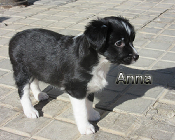 Anna-(1)web