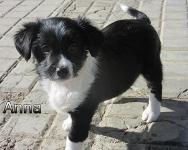 Anna-(3)web