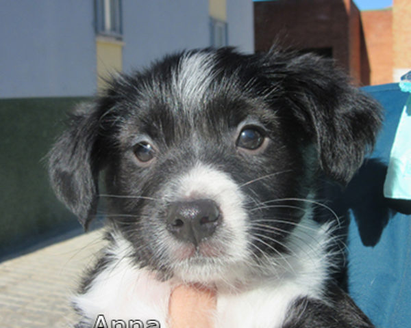 Anna-(7)web
