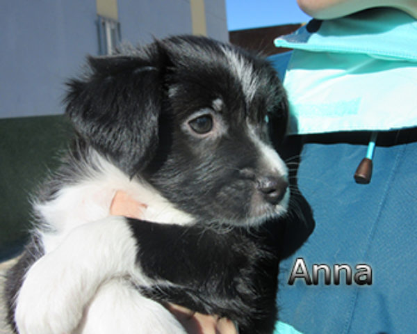 Anna-(8)web