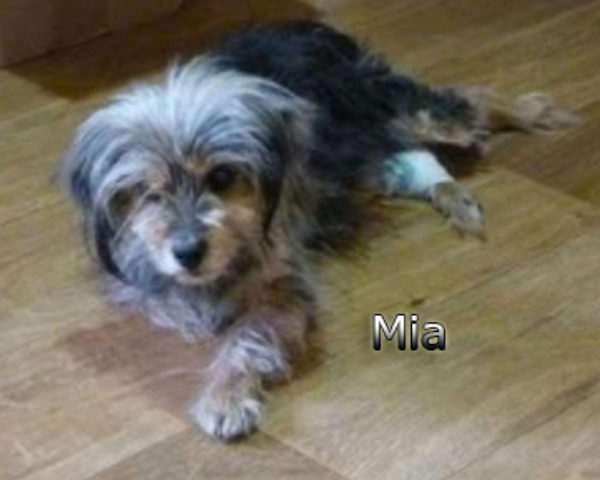 Mia-(10)web