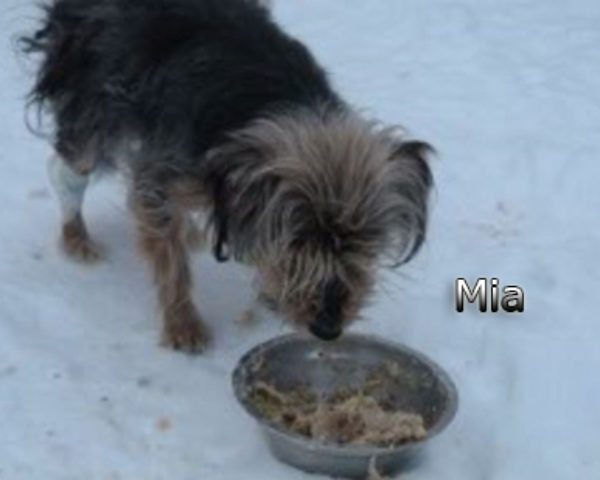 Mia-(11)web