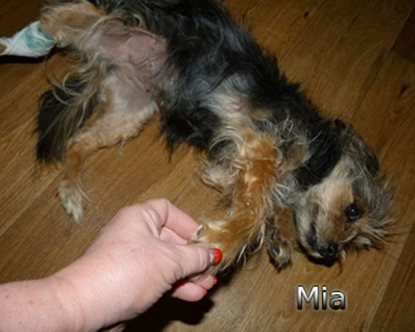 Mia-(2)web