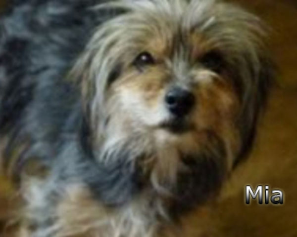 Mia-(4)web