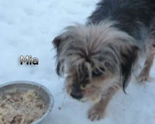Mia-(5)web