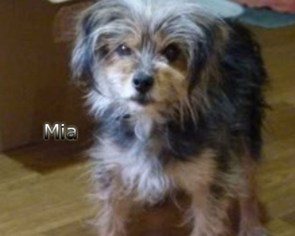 Mia-(6)web