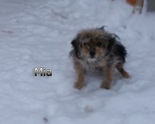 Mia-(7)web