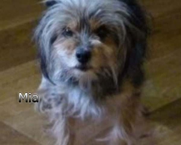 Mia-(8)web