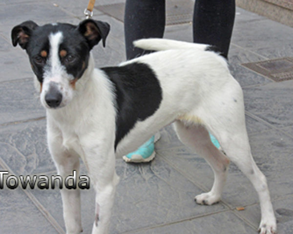 Towanda-(3)web