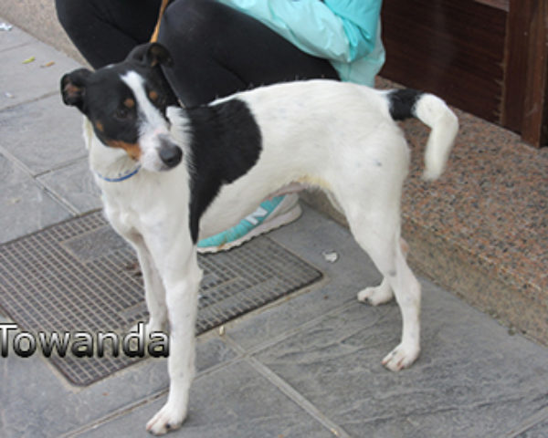 Towanda-(4)web