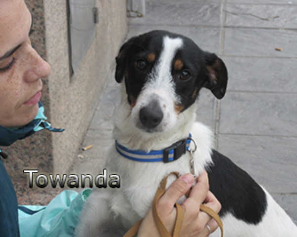 Towanda-(5)web