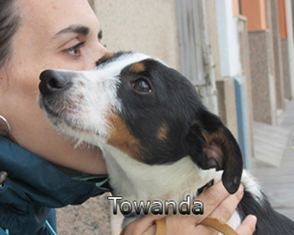 Towanda-(6)web