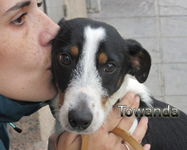 Towanda-(7)web