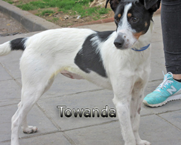 Towanda-(8)web
