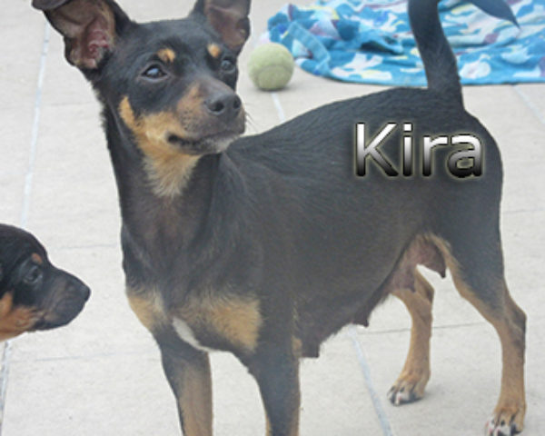 Kira-(2)web