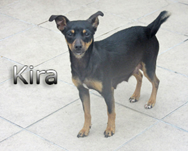 Kira-(4)web