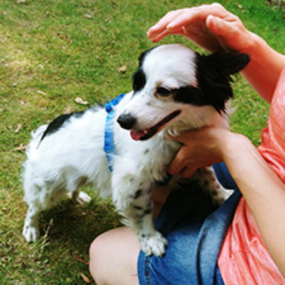 Josi_Update_09_2019-(13)web