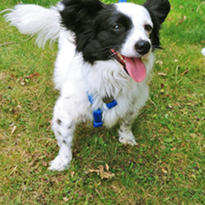 Josi_Update_09_2019-(1)web