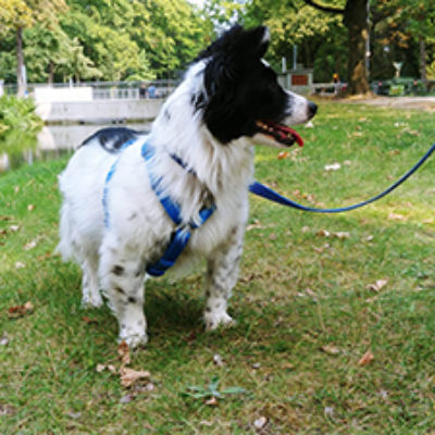 Josi_Update_09_2019-(5)web