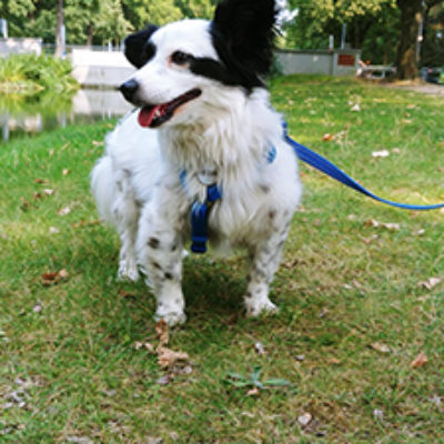 Josi_Update_09_2019-(6)web