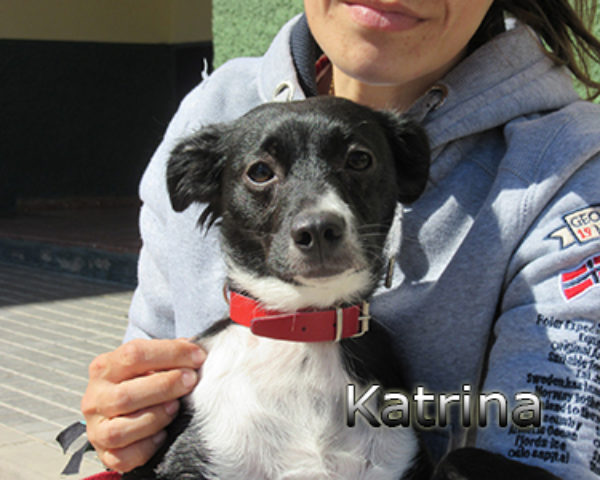 Katrina-(1)web
