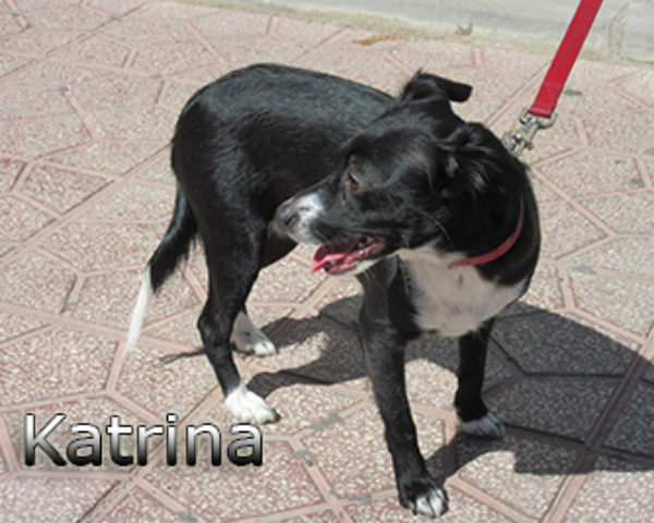 Katrina-(5)web