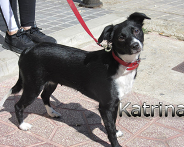 Katrina-(7)web