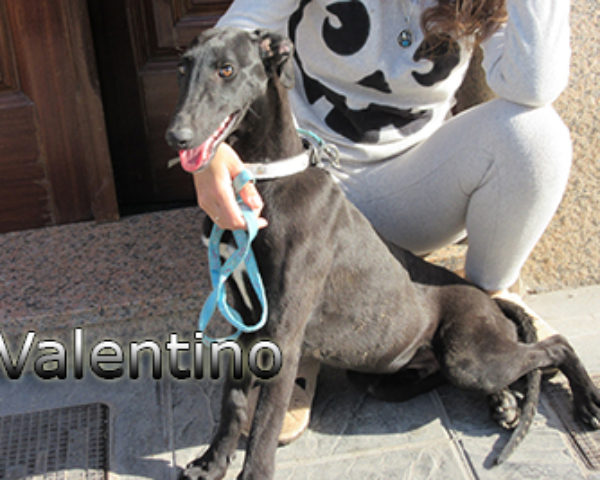 Valentino-(7)web