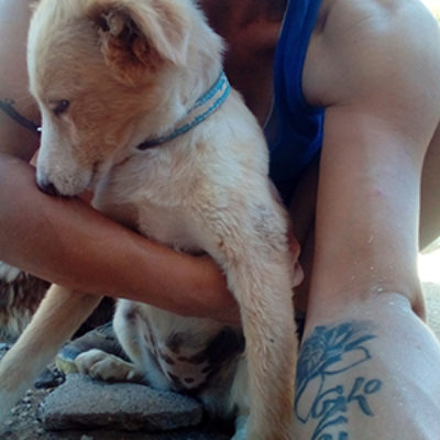 Lucy_12052019-(1)web