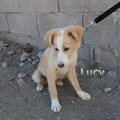 Lucy_12052019-(2)web