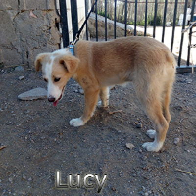 Lucy_12052019-(3)web