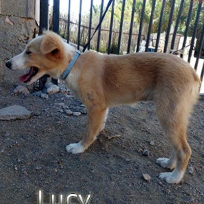 Lucy_12052019-(4)web