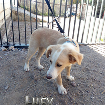 Lucy_12052019-(5)web