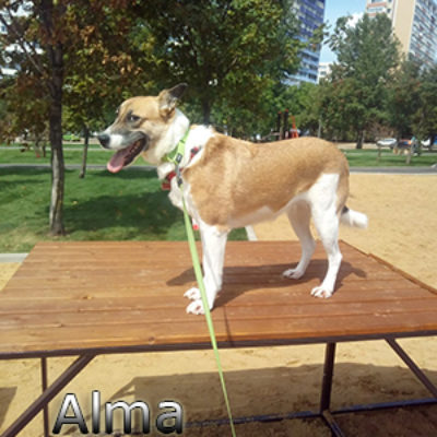 Alma_082019-(4)web