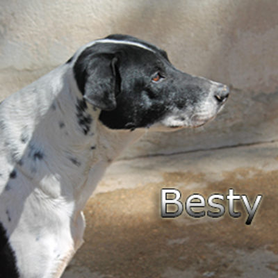 Besty-(1)web