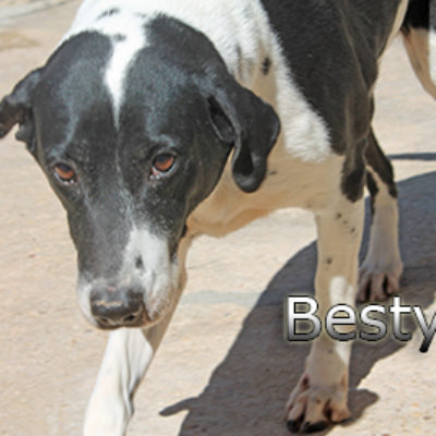 Besty-(6)web