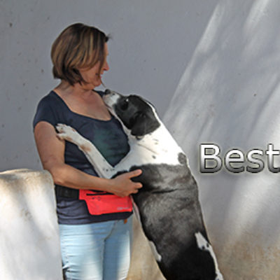 Besty-(8)web