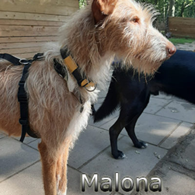 Malona_29072019-(4)