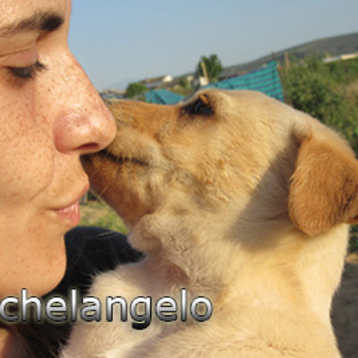 Michelangelo-(11)web