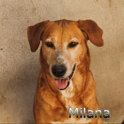 Milana-(1)web