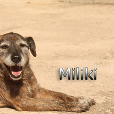 Miliki-(5)web