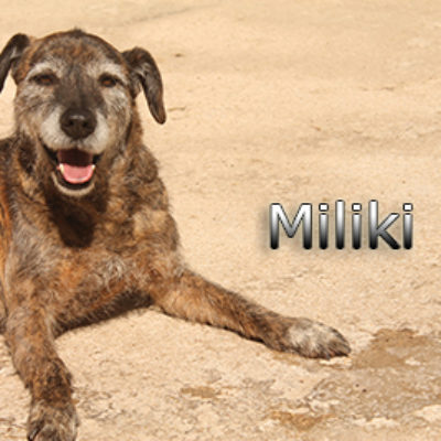 Miliki-(6)web