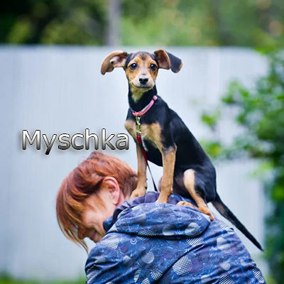 Myschka_082019-(12)web