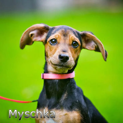 Myschka_082019-(18)web