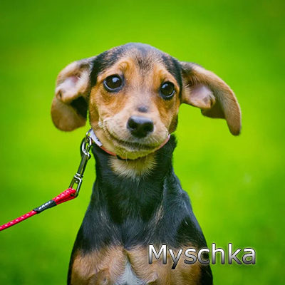 Myschka_082019-(23)web