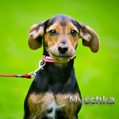 Myschka_082019-(26)web
